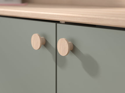 Parisot Jade1 - Hochbett mit integrierten Schreibtisch und Stauraum - 90x200 - Jackson Eiche und Seladon grün  #